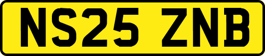 NS25ZNB