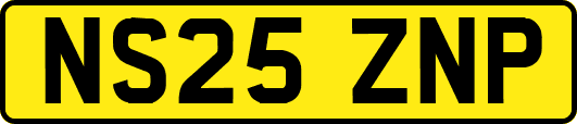 NS25ZNP