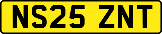 NS25ZNT