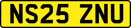 NS25ZNU