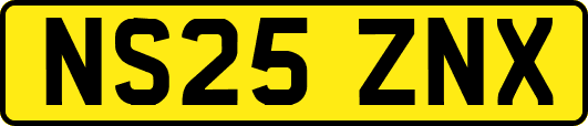 NS25ZNX