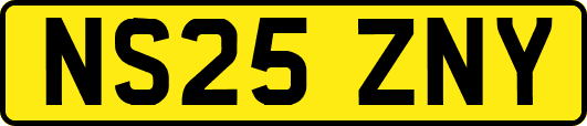 NS25ZNY