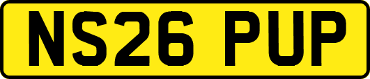 NS26PUP