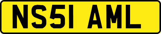 NS51AML