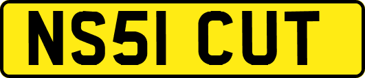 NS51CUT