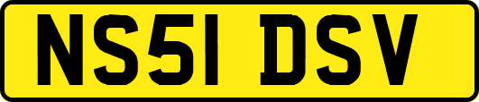 NS51DSV