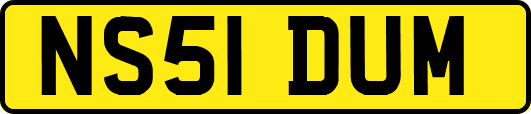NS51DUM