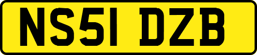 NS51DZB