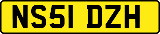 NS51DZH