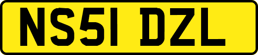 NS51DZL