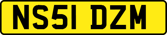 NS51DZM