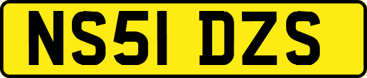 NS51DZS