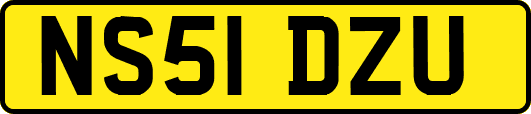NS51DZU