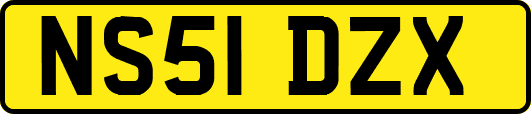 NS51DZX