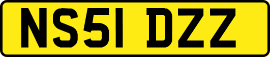 NS51DZZ