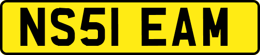 NS51EAM