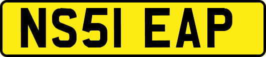 NS51EAP