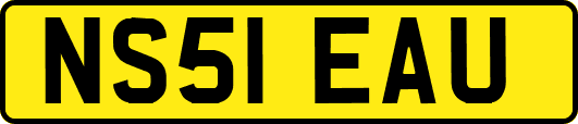 NS51EAU