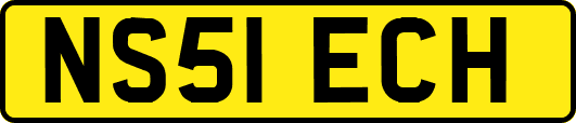 NS51ECH