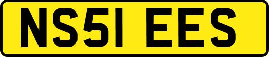 NS51EES