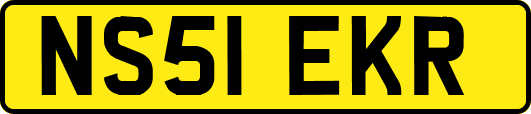 NS51EKR