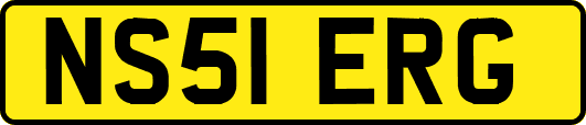 NS51ERG