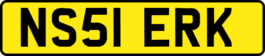 NS51ERK