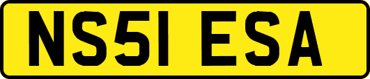 NS51ESA