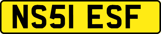 NS51ESF