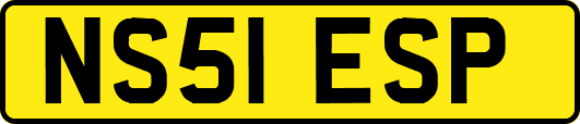 NS51ESP