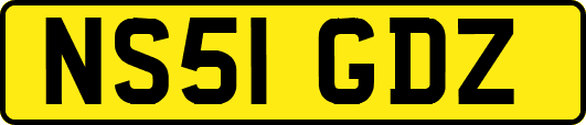 NS51GDZ