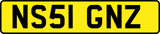 NS51GNZ