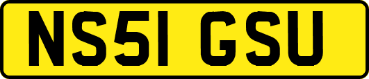 NS51GSU