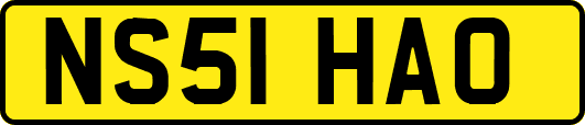 NS51HAO