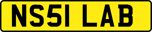 NS51LAB