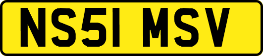 NS51MSV
