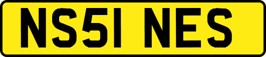 NS51NES