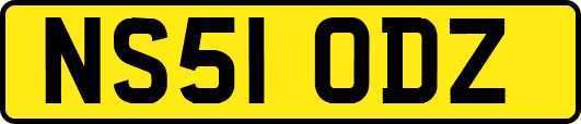 NS51ODZ