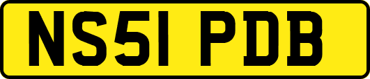 NS51PDB