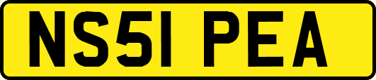 NS51PEA