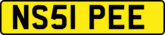 NS51PEE