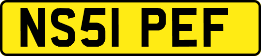 NS51PEF