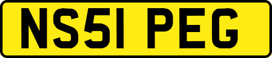 NS51PEG