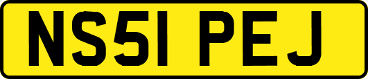NS51PEJ