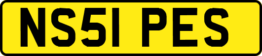 NS51PES