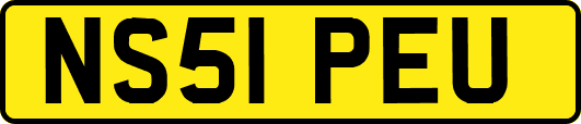 NS51PEU