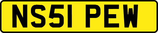 NS51PEW