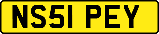 NS51PEY