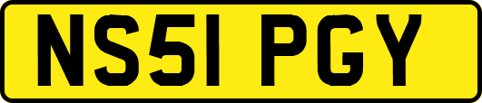 NS51PGY