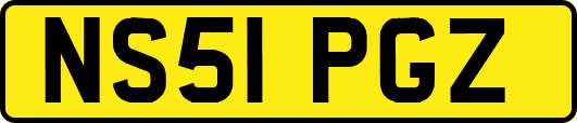 NS51PGZ
